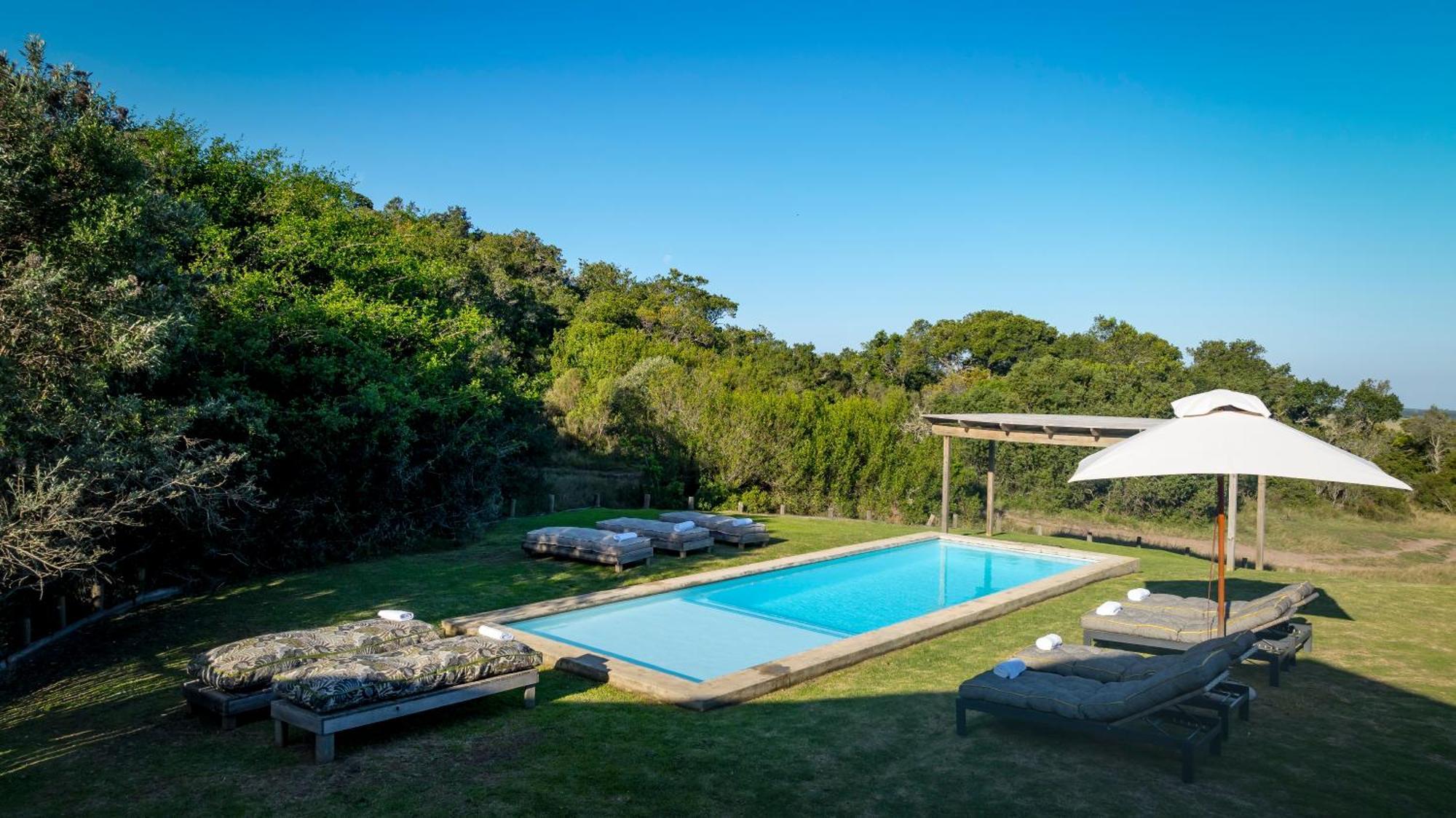 Belle Balance Bush Lodge Plettenberg Bay Zewnętrze zdjęcie