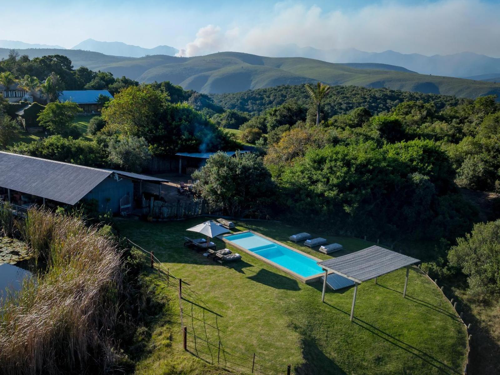 Belle Balance Bush Lodge Plettenberg Bay Zewnętrze zdjęcie